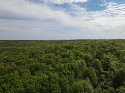 Charming Agricultural Haven in North West Schuyler County, MO - image 10