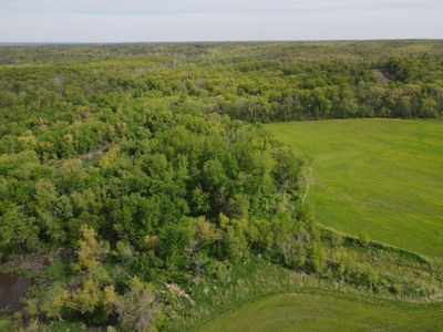Charming Agricultural Haven in North West Schuyler County, MO - image 23