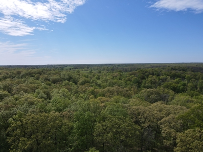 Charming Agricultural Haven in North West Schuyler County, MO - image 2