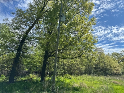 Charming Agricultural Haven in North West Schuyler County, MO - image 48