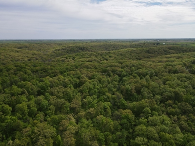 Charming Agricultural Haven in North West Schuyler County, MO - image 38