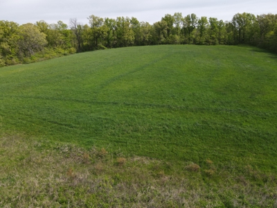 Charming Agricultural Haven in North West Schuyler County, MO - image 27