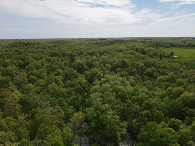 Charming Agricultural Haven in North West Schuyler County, MO - image 39