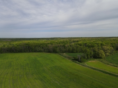 Charming Agricultural Haven in North West Schuyler County, MO - image 17