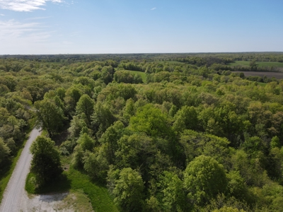 Charming Agricultural Haven in North West Schuyler County, MO - image 7