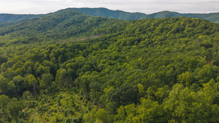 Wooded Tract for Sale in Woolwine VA - image 12