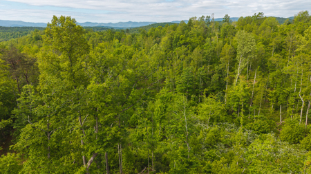Wooded Tract for Sale in Woolwine VA - image 5