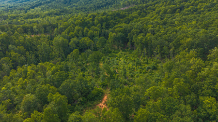 Wooded Tract for Sale in Woolwine VA - image 11