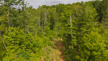 Wooded Tract for Sale in Woolwine VA - image 2