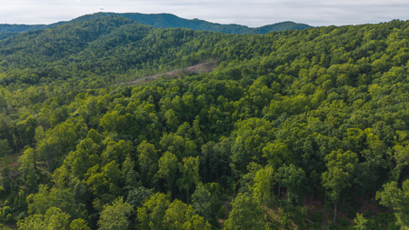 Wooded Tract for Sale in Woolwine VA - image 14