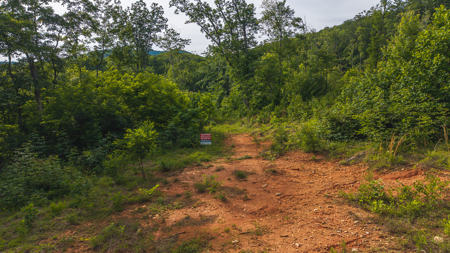 Wooded Tract for Sale in Woolwine VA - image 9