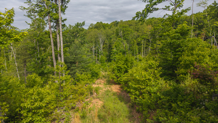 Wooded Tract for Sale in Woolwine VA - image 1