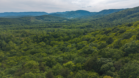 Wooded Tract for Sale in Woolwine VA - image 13