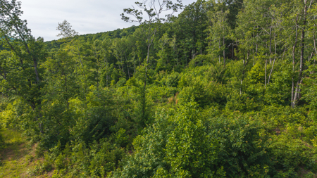 Wooded Tract for Sale in Woolwine VA - image 10