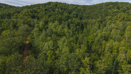 Offering #3 - Wooded Tract for Sale in Woolwine VA - image 12