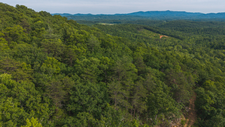 Offering #3 - Wooded Tract for Sale in Woolwine VA - image 21