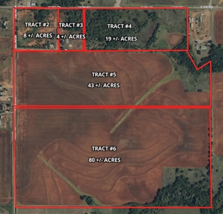 19 Acres for Sale, Clinton, Washita County, Oklahoma - image 3