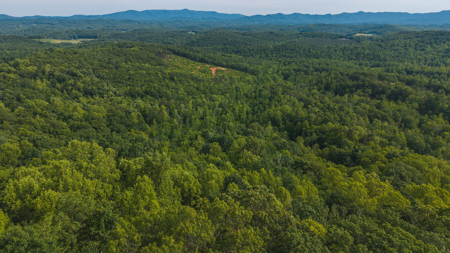 Large Wooded Tract for Sale in VA - image 2