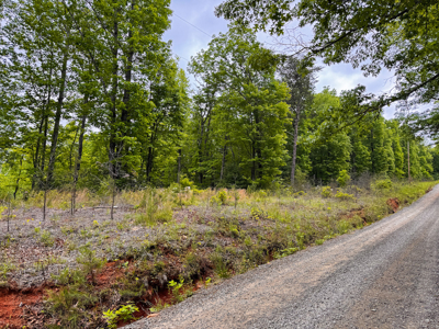 Large Wooded Tract for Sale in VA - image 1