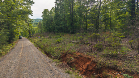 Large Wooded Tract for Sale in VA - image 6