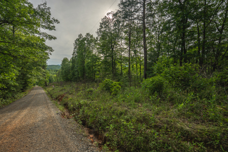 Large Wooded Tract for Sale in VA - image 8