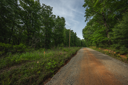 Wooded Land for Sale in Woolwine VA - image 12