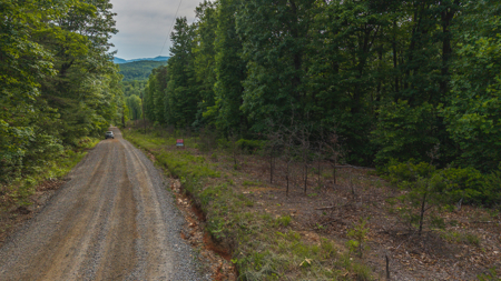 Wooded Land for Sale in Woolwine VA - image 9