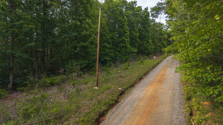 Wooded Land for Sale in Woolwine VA - image 3