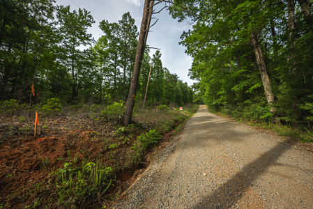 Wooded Land for Sale in Woolwine VA - image 11