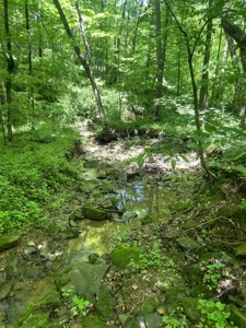 Dubois County Buildsite- Southern Indiana Real Estate - image 9