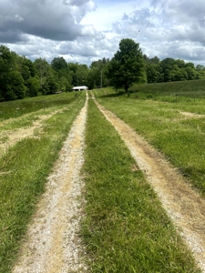 Dubois County Buildsite- Southern Indiana Real Estate - image 4