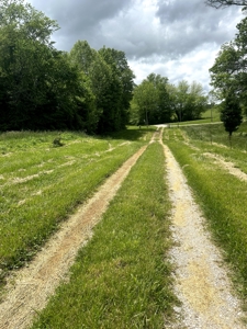 Dubois County Buildsite- Southern Indiana Real Estate - image 3