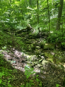 Dubois County Buildsite- Southern Indiana Real Estate - image 8