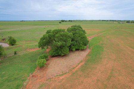 43 Acres for Sale, Clinton, Washita County, OK - image 6