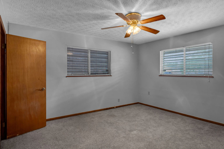 Home sitting on half acre lot in Calallen, Corpus Christi, TX - image 23