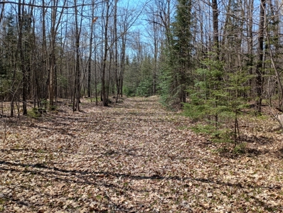 Cabin with Acreage for Sale in Glidden, Wisconsin - image 13