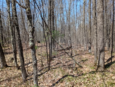 Cabin with Acreage for Sale in Glidden, Wisconsin - image 14