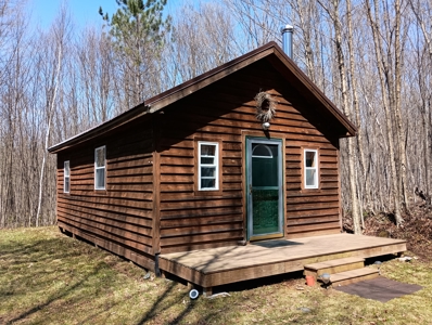 Cabin with Acreage for Sale in Glidden, Wisconsin - image 1