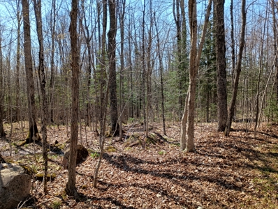 Cabin with Acreage for Sale in Glidden, Wisconsin - image 12