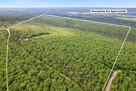 Log Home on 243 Acres, Hunting Land with Panoramic Views - image 7