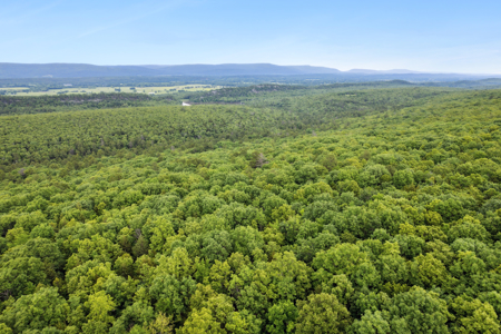 Log Home on 243 Acres, Hunting Land with Panoramic Views - image 15