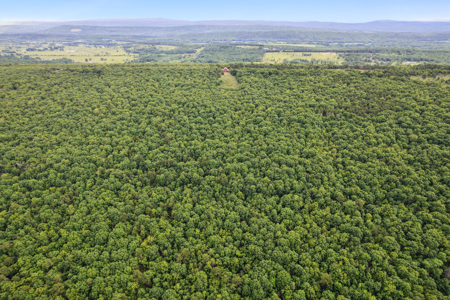 Log Home on 243 Acres, Hunting Land with Panoramic Views - image 9