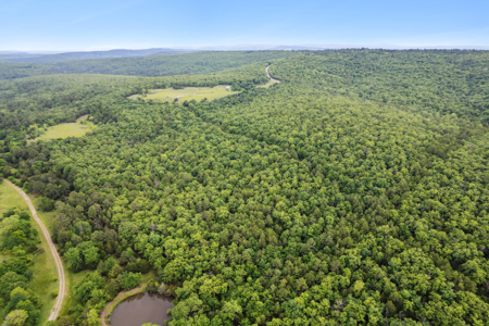 Log Home on 243 Acres, Hunting Land with Panoramic Views - image 23