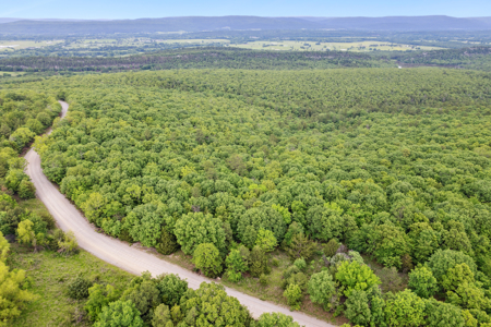 Log Home on 243 Acres, Hunting Land with Panoramic Views - image 11