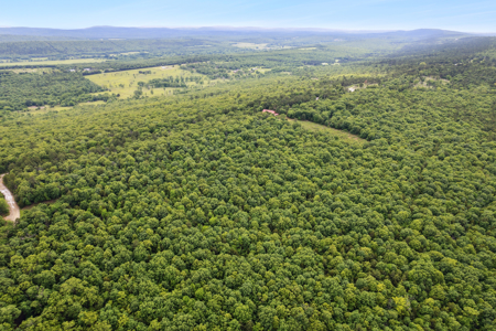 Log Home on 243 Acres, Hunting Land with Panoramic Views - image 8