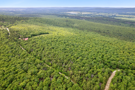 Log Home on 243 Acres, Hunting Land with Panoramic Views - image 6
