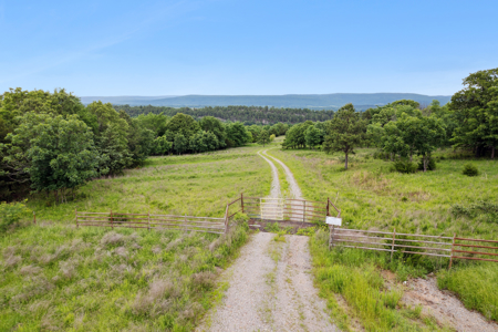 Log Home on 243 Acres, Hunting Land with Panoramic Views - image 17