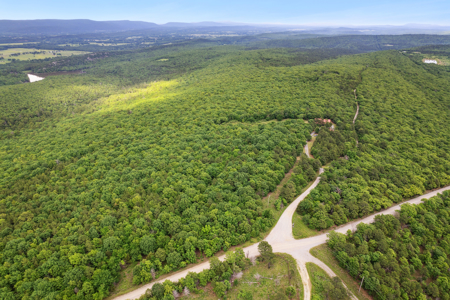 Log Home on 243 Acres, Hunting Land with Panoramic Views - image 4