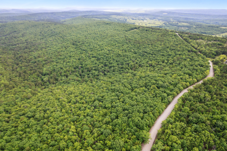 Log Home on 243 Acres, Hunting Land with Panoramic Views - image 10