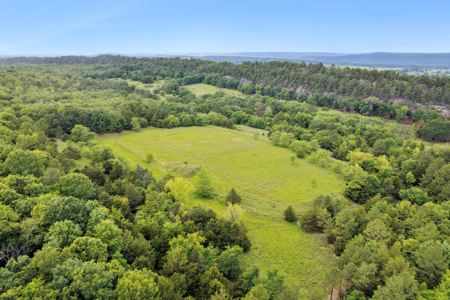 Log Home on 243 Acres, Hunting Land with Panoramic Views - image 22